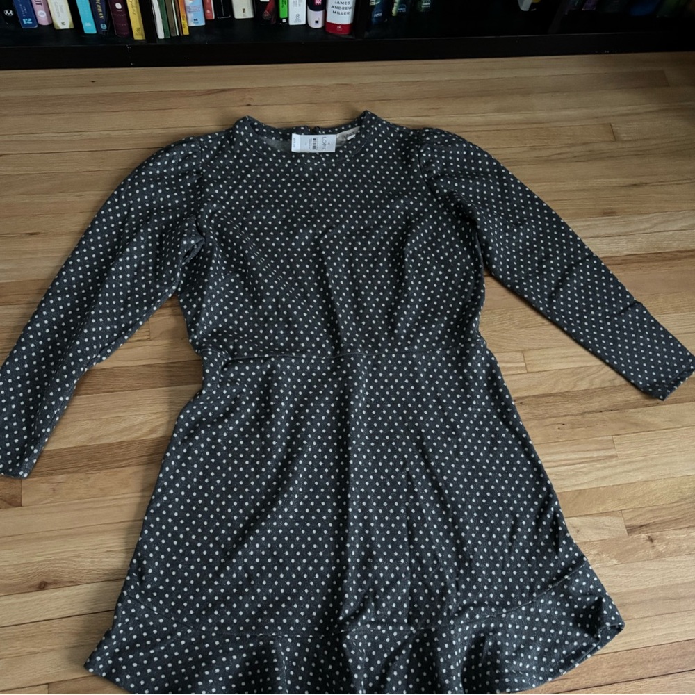 NWT LOFT Long Sleeved Ruffle Skirt Dress